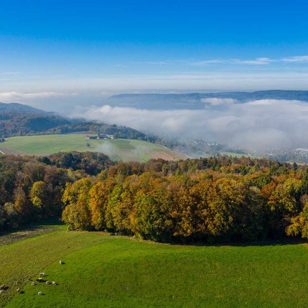 Drohnenfotografie der Kraftgegend Seerücken