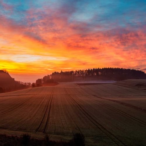 Landschaftsfotografie-goldgelb