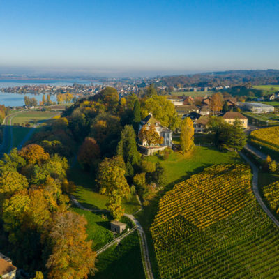 Professionelle Luftaufnahmen mit Drohne: Bodensee