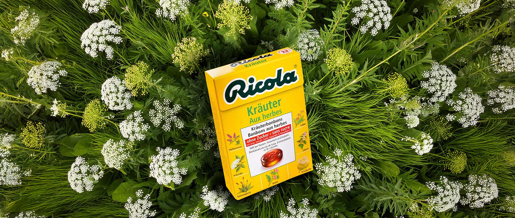 KI generiertes Bild Ricola in der Wiese by goldgelb